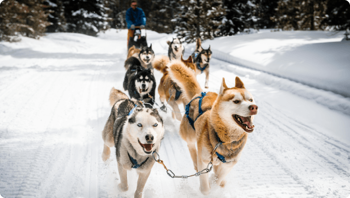 Anchorage_Life in Location_Events