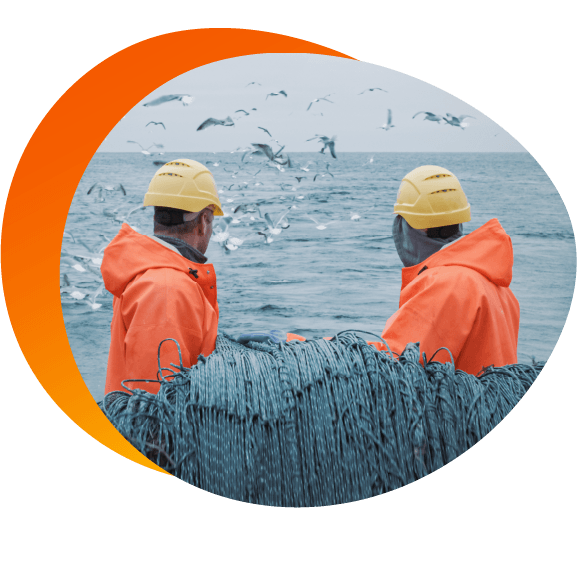 Feature Insights_ORCA-8