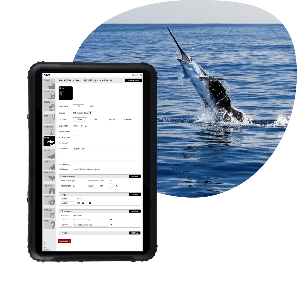 In Brief_ORCA-8