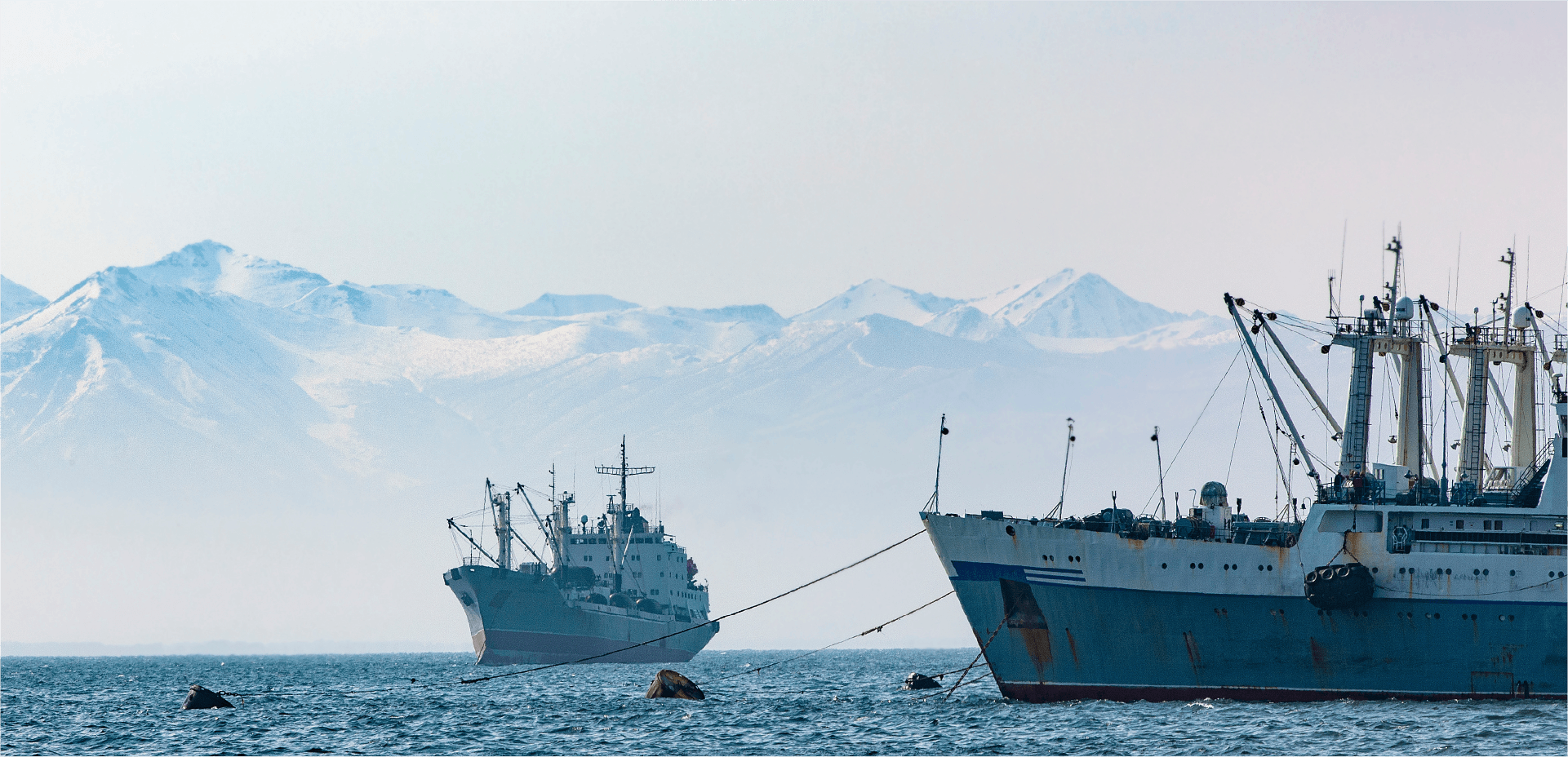 A Long-Term Partnership Strengthening Fisheries Management